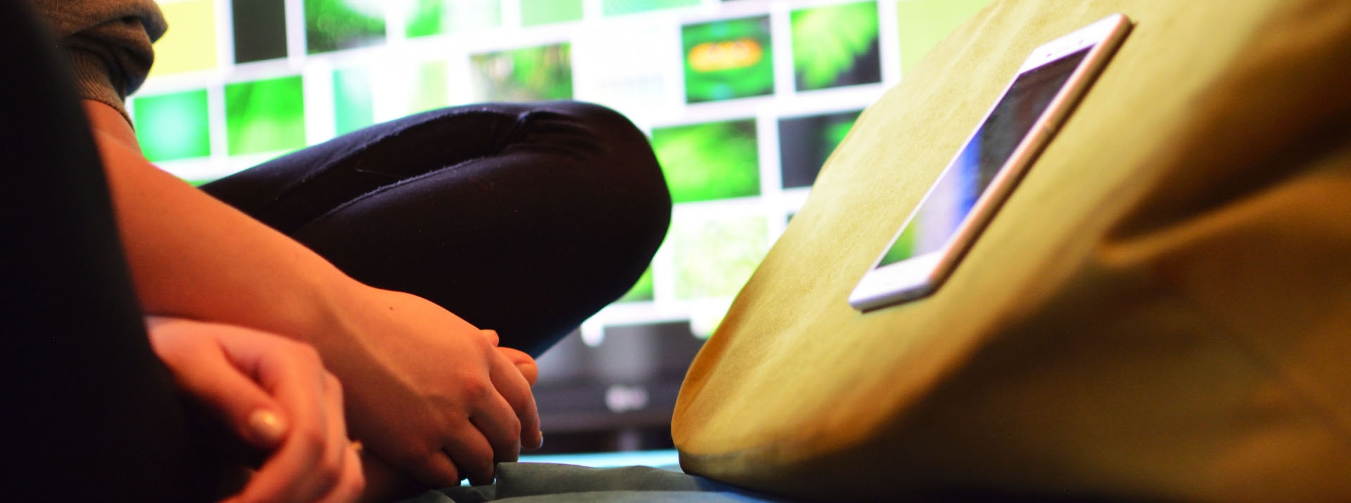 Magento-Poducha na laptopa i telefon